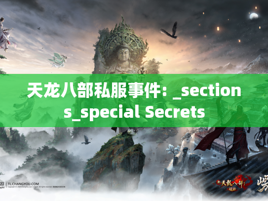 天龙八部私服事件: _sections_special Secrets  第1张